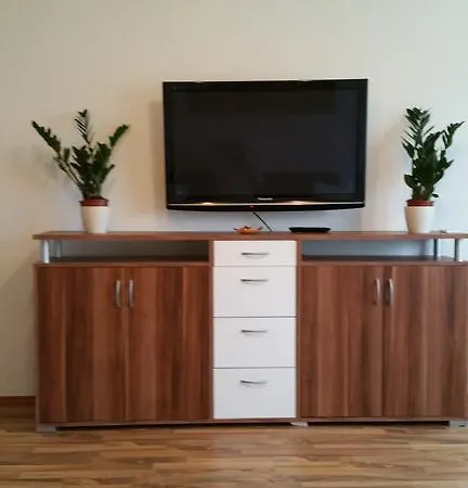 Apartment Boarding House Galina *